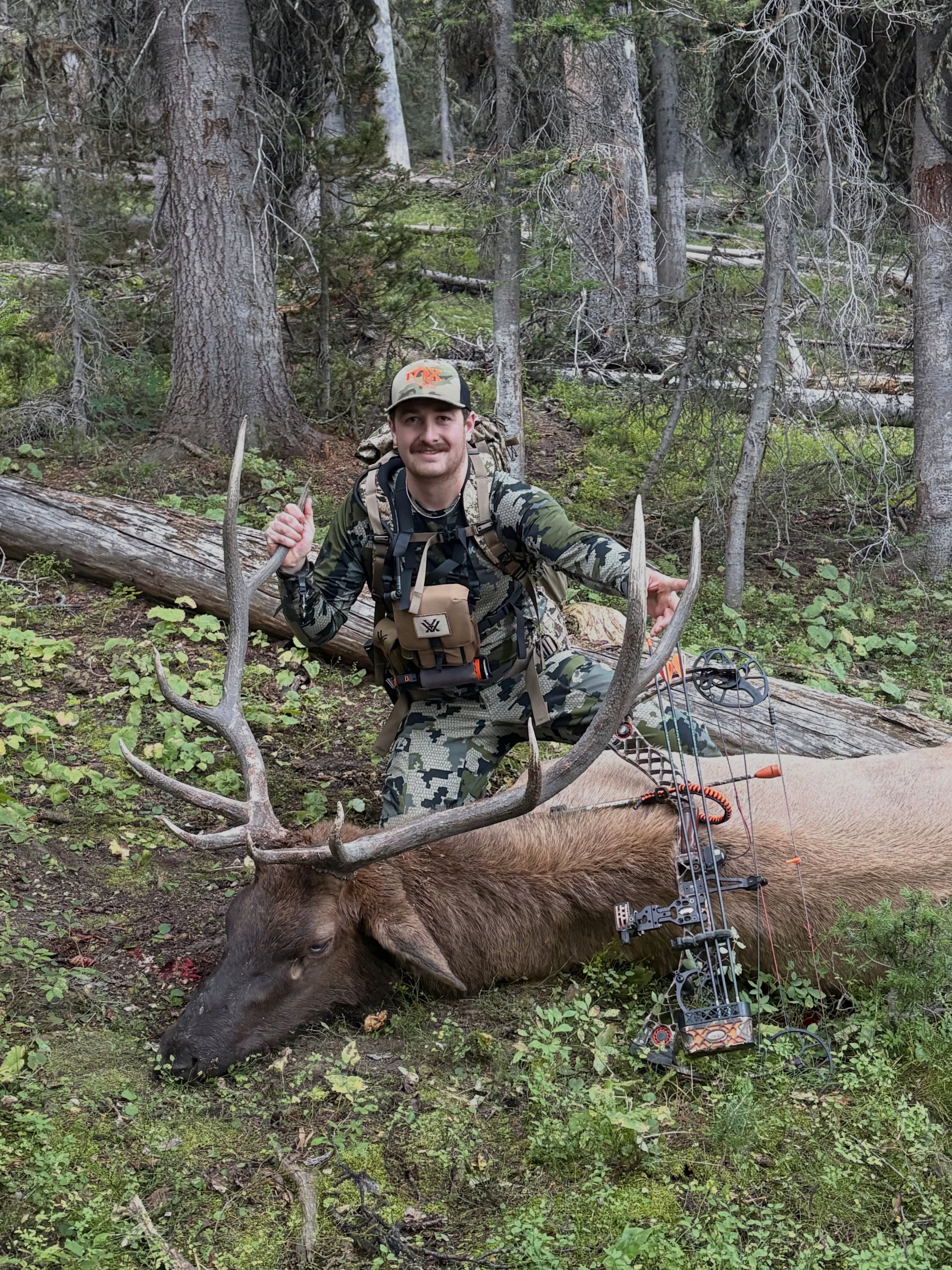 First archery bull down! Huge thanks to my dad and sister for help with the pack out!
