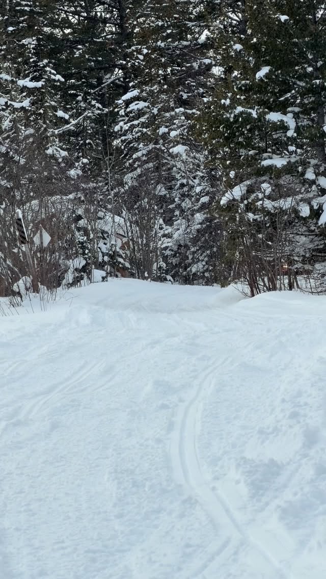 Trail’n #shopridefastcrew