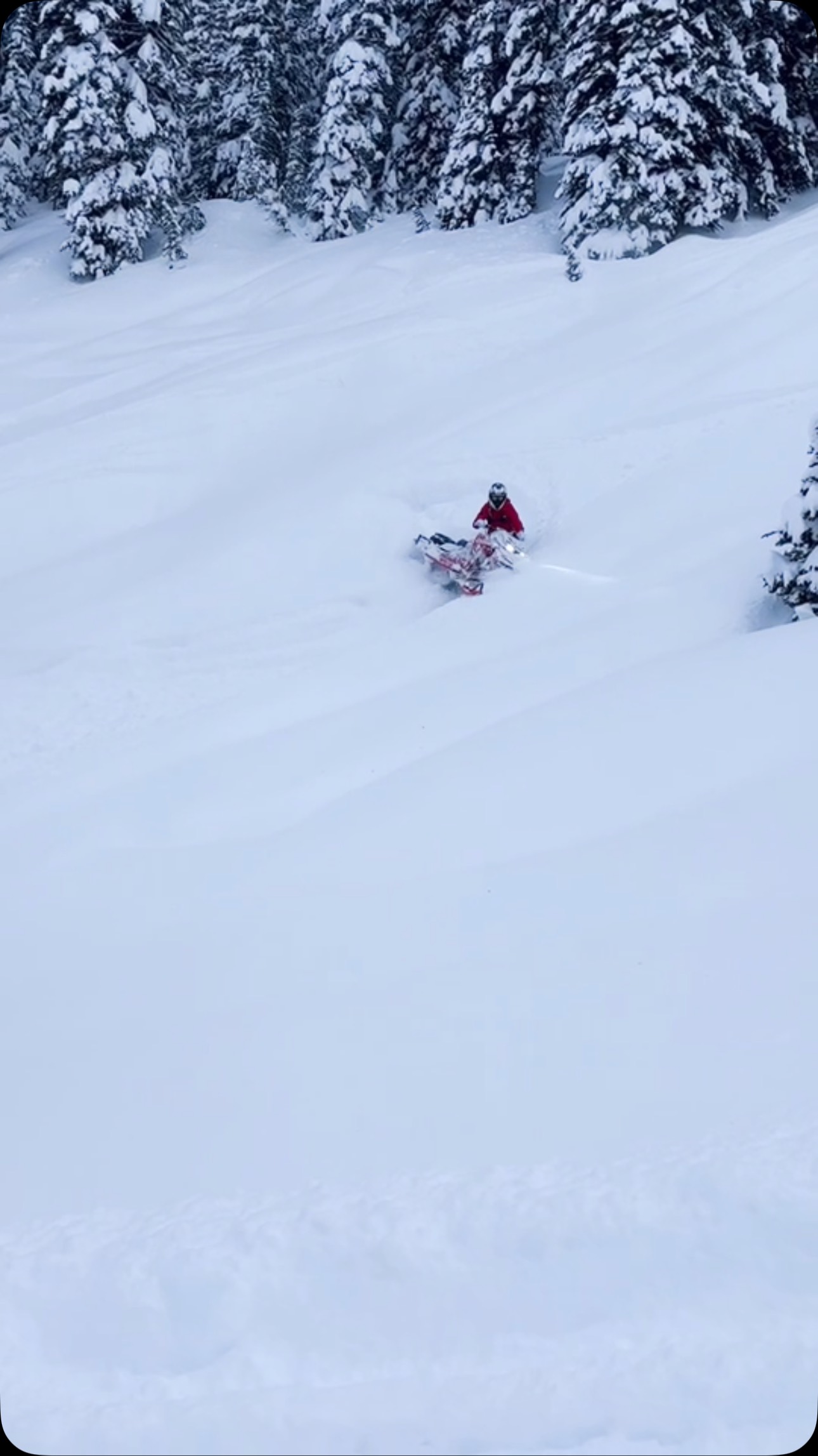 Just a little wrap around… nothing to see here 😮‍💨💨

#Snowmobile #Bowtie #SledLife #SnowmobileReels #Backcountry