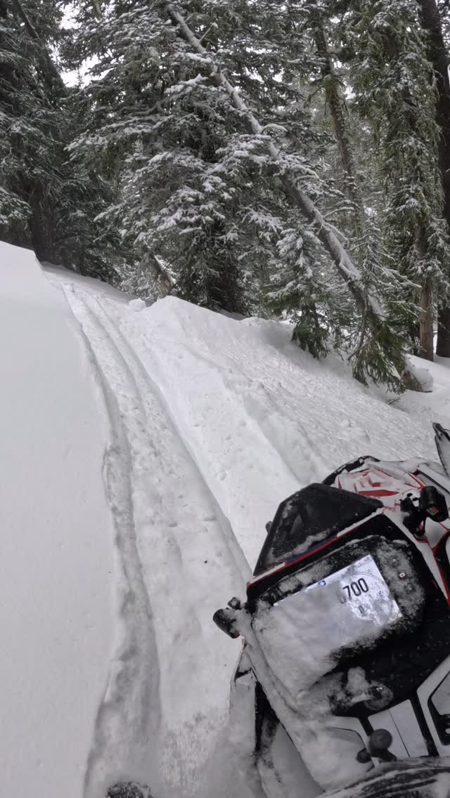 Finally starting to get some snow!❄️ The storm is already starting to produce! Had a blast in the trees following @sam_peterson_98 today!