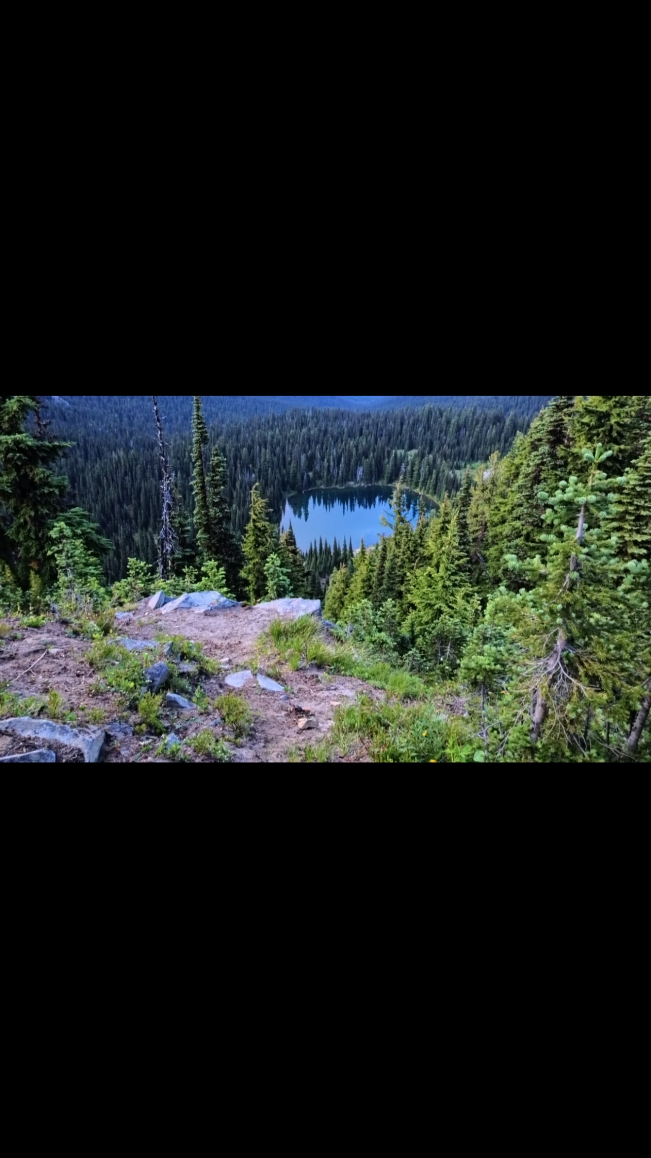 How could you not enjoy a view like this? @mountrainiernps 

#pnw #pnwhike #pewoverland #hike #hiking