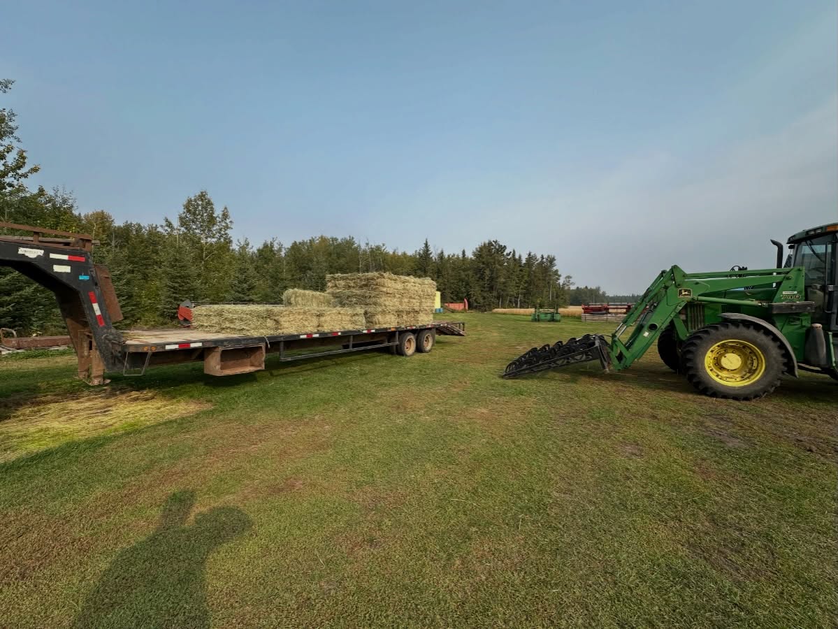 Small grass bales that feed your heard! Feed sample analysis with all hay ! Dm to book your bales now!