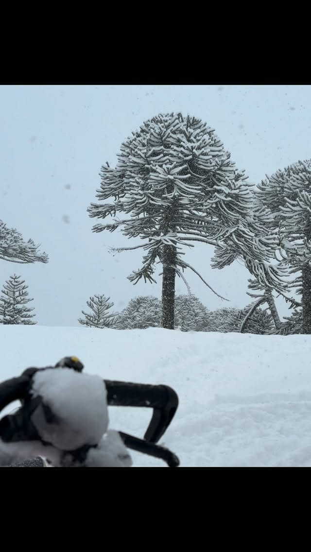 Deep snow comes with a little digging 😂🇨🇱

Full Chile Day 2 ride is up on YouTube! ❄️