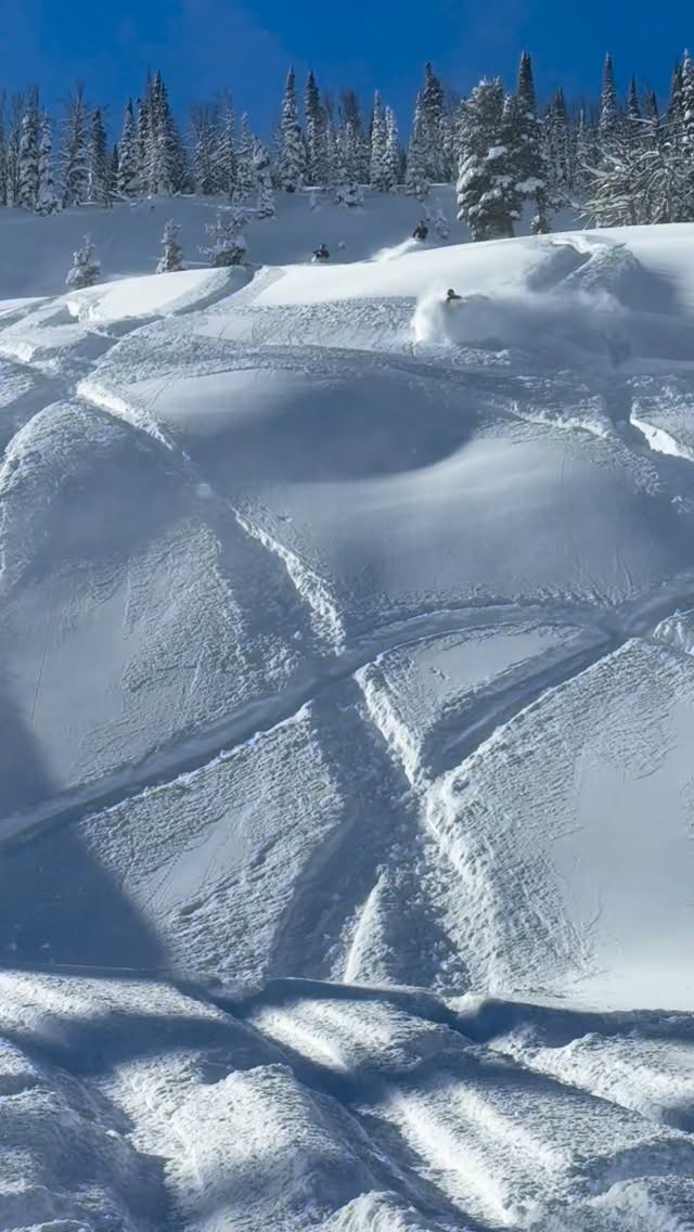 Downies just hit different! ❄️🔥

Finally was able to go find some snow with the boys!

🎥: @jd_holbrook 

@skidoo 
@klim 
@karlmalone_ads 
@tempestoptics 
@motoassassingraphics 
@oxbowgear 
@redmondrelyte 
@carbonpursuit 
@tetonperformance 
@backwoodsbmp