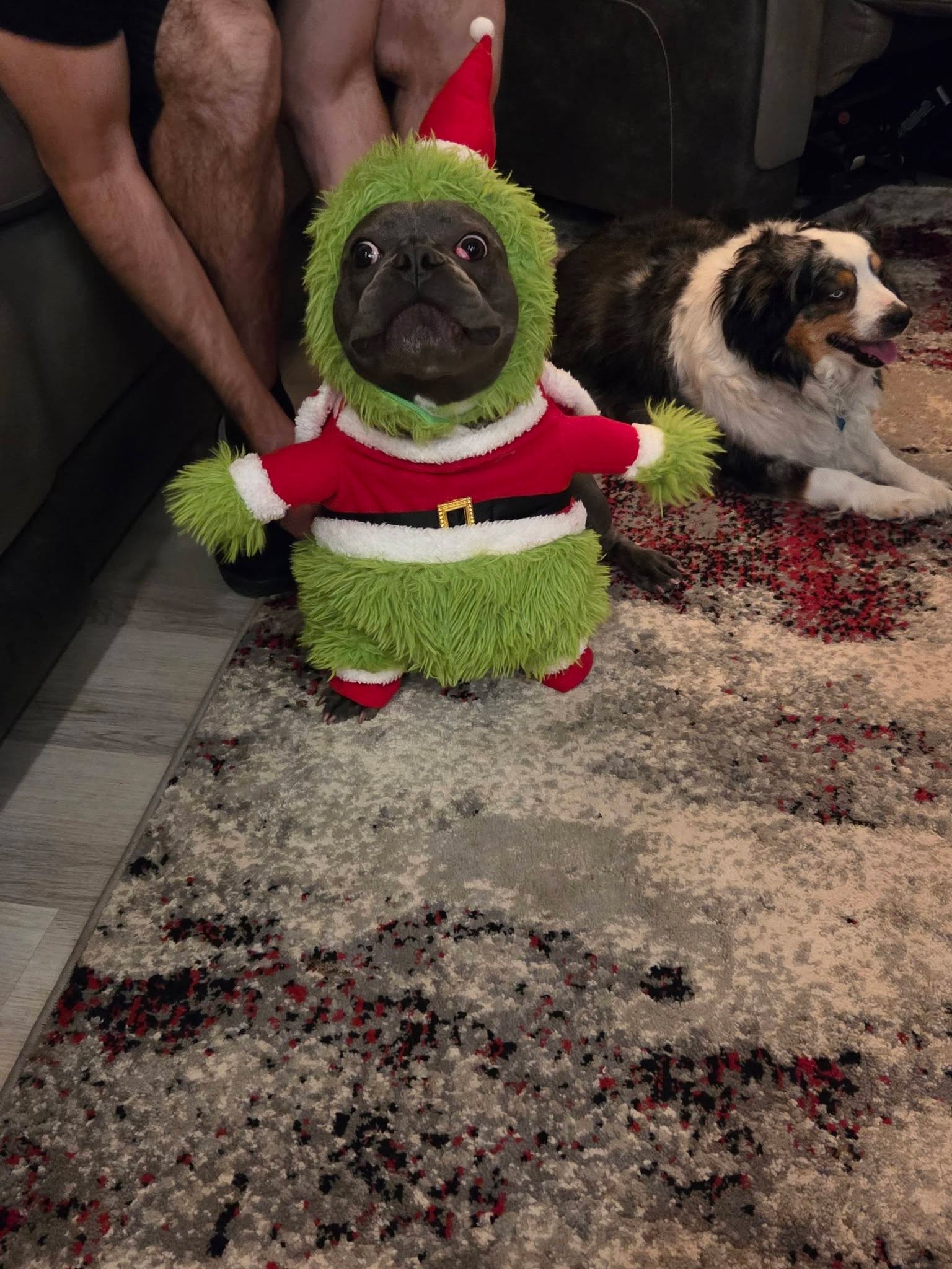 Merry Christmas y'all