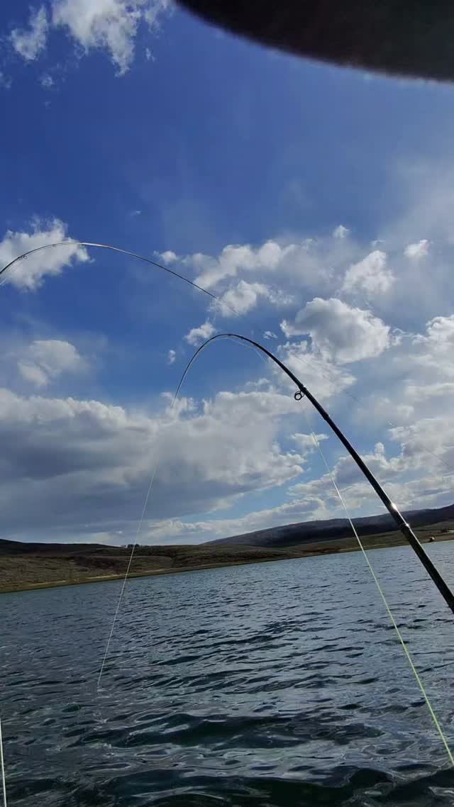 Doubled up on the fly rods!  #fishing #flyfishing #lake #nature