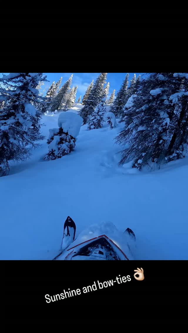 @dps_riders_team 
@thesierrawinterway 
@ggb_exhaust 
@dps_fairbanks 
@durapro.usa 
@klim 
@polarissnow