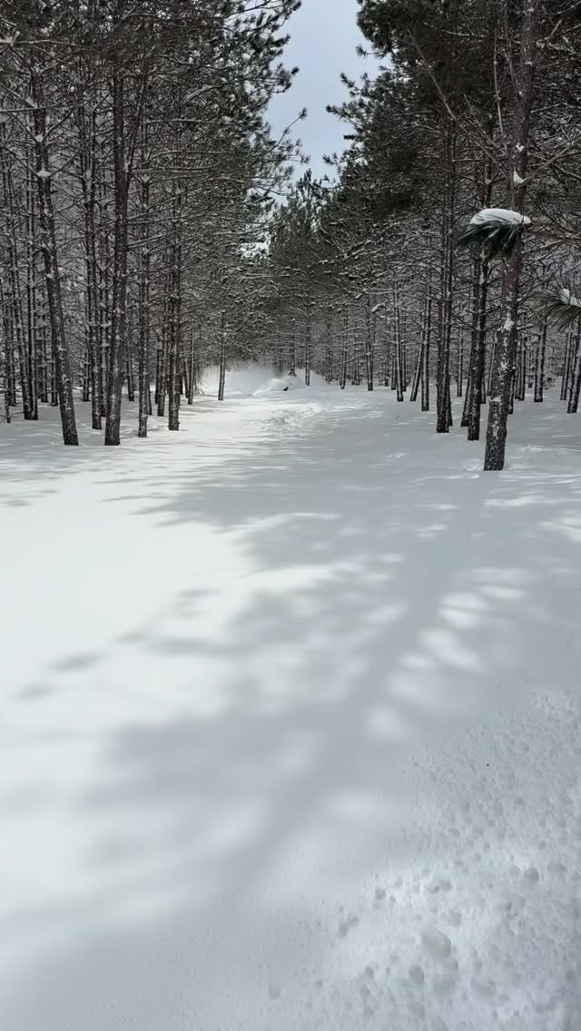 52” Storm Total in 3 days #marchblizzard #skidoo #upmichigan #pow #ontrail