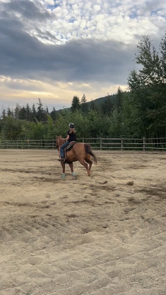 Another brag post on Pais, even though she didn’t win a buckle, she’s made HUGE progress with Tucker the past few months! 
I hadn’t raced him in 5 years, but she was determined the 2 of them would make a team. I questioned it at first, but boy have they grown together. Her first run in this arena back in May was a 27 second run. The video here shows her best run which was last month, a 20 second run 🥰 She’s come a long way with him, and there’s still room for improvement. I can’t wait to see how they perform together next year!