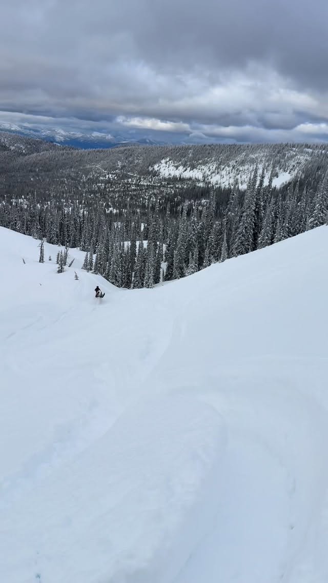 “Let me move to the side of the hill to film you doing something cool” I said…. Proceed to get rammed by @polzone_freeloaders 🫣🤣

Thankfully no humans or machines where harmed, just a few scratches 💯
@backwoodsbmp bumpers always there doing there job 🙌🏽

@snowmobilefails 
@sledpage 
@freshies_built 
•
•
•
•
•
•
•
•
•
•
•
•
•
•
•
•
#snowmobiling #backcountry #snowmobilefails #polaris #fyp