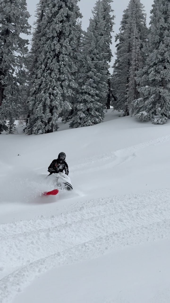 How many more days till this?! @tylerlarkin22 •••••••••••••••••••••••••••••••••••••••••••••••••••••••#sled #snowmobilefails #lynxshredder  @skidooofficial  @rpm_powersports @klim @ibexx_llc @arcticfxgraphics @amsoilinc @surecanusa @madrampsusa