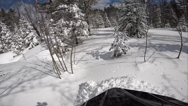 Pine branch paint job🌲🌲
@sledsend 
@carbonpursuit 
@freshies_built 

#snowmobiling #upperpeninsula