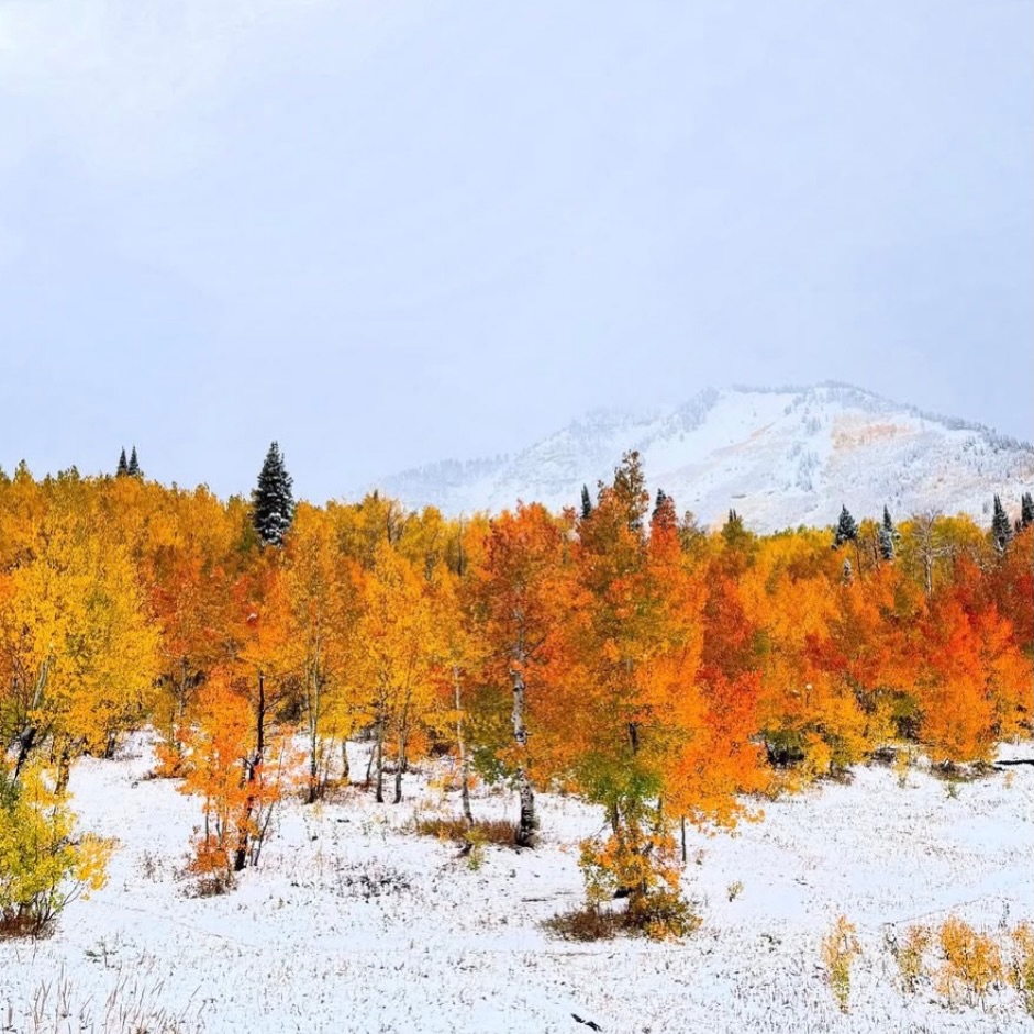 One of my favorite fall memories.  I don’t think we will see one of these this year where I’m at. #getoutside #findyourhaven #mtb #fall #utah