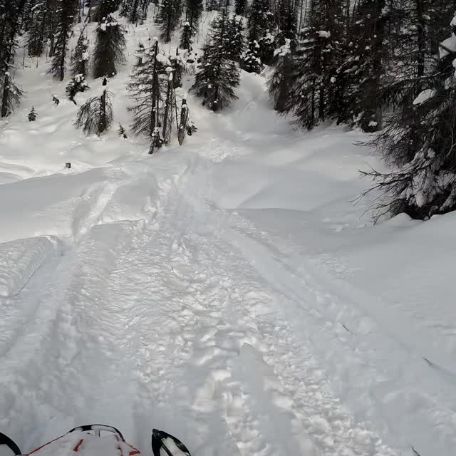 When its gonna be 80 degrees today, this is what gets me through it😂

@polarissnow 
@dps_riders_team 
@dps_fairbanks 
@deltapowersports 
@thesierrawinterway 

@durapro.usa 
@klim 
@ggb_exhaust 
@gopro