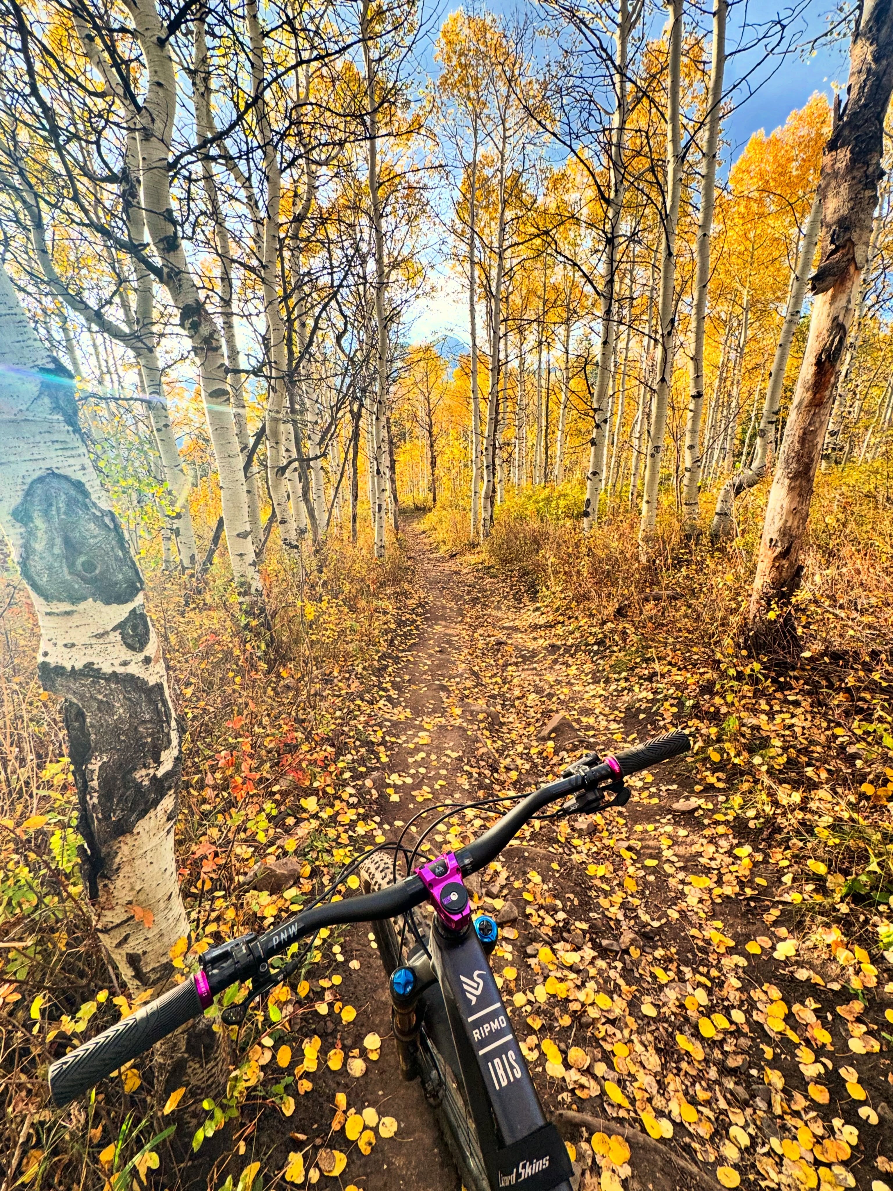 Fall is falling away. #getoutside #findyourhaven #mtb #fall #mountainbike