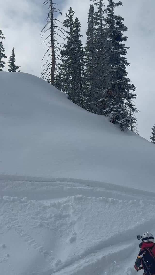 Ready for more of this 🤩
•
•
•
#summersucks #colorado #winter #snowmobiles @_dialed_performance_ @rockymountainsledrentals @snowchildclothing @ridefastcompany