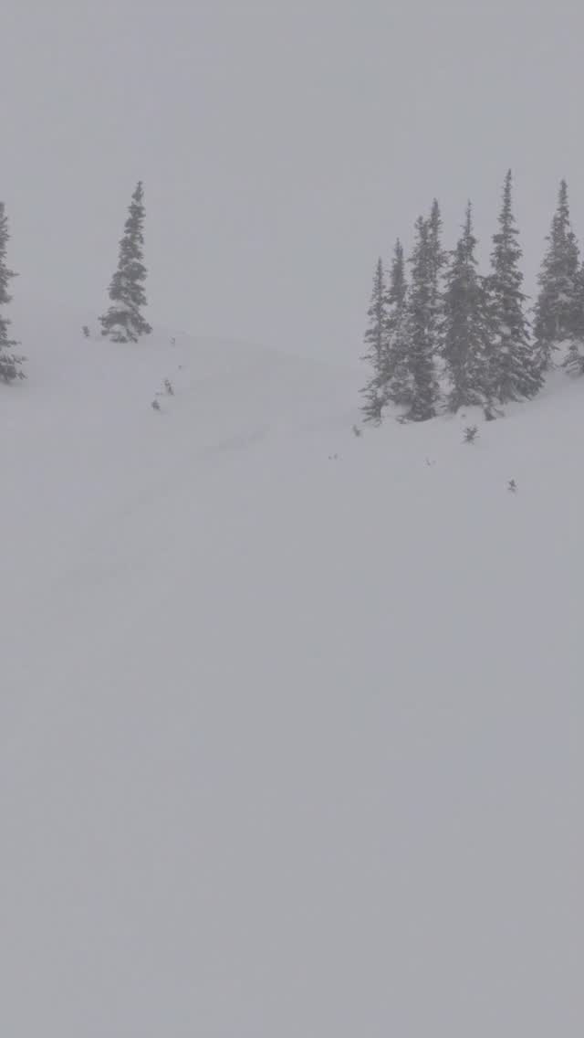 @509inc day seems like the perfect time to post these clips from the deepest day of the year 🤤
🎥: @tgfg_ 

@mountain_motorsports 
@ggb_exhaust 
@cheetah_snow