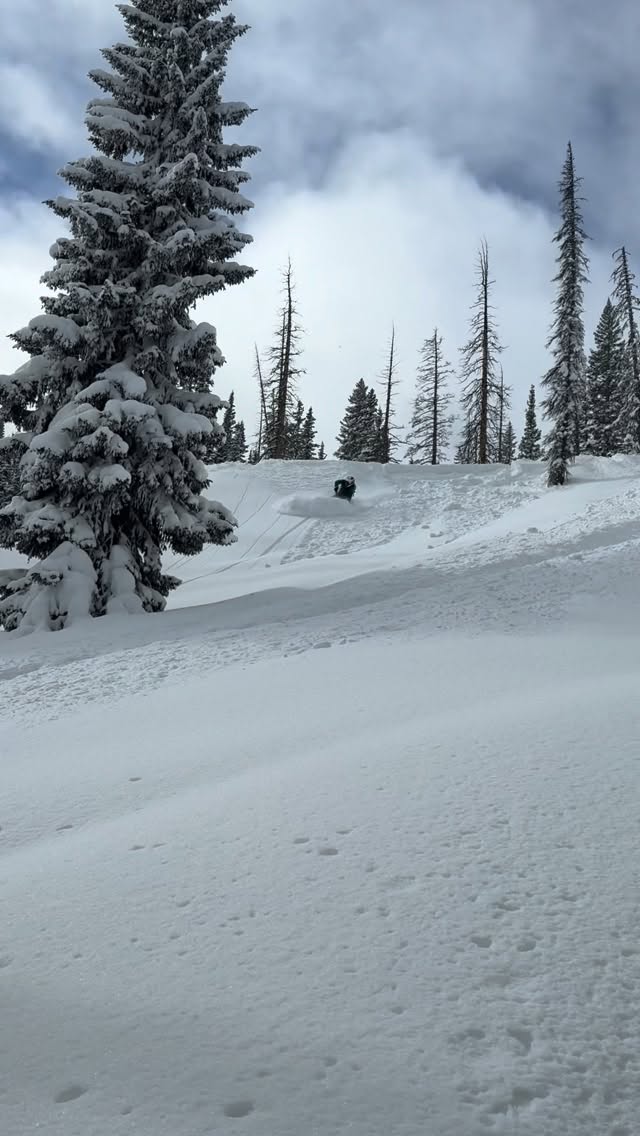 The one and only pow day I had this year with @birkirving. In @livigno for the O Games now…. And it’s snow hardest I’ve seen this year 😒😂
|
|
@allterrainmotorsports 
@509inc 
@lynx_snowmobiles 
@deviantink
@slydog_skis 
@oxbowgear 

@sledheadzzz @snowridermagazine #snowridermagazine #snowridertag #sledding #509ambassador #sledheadz