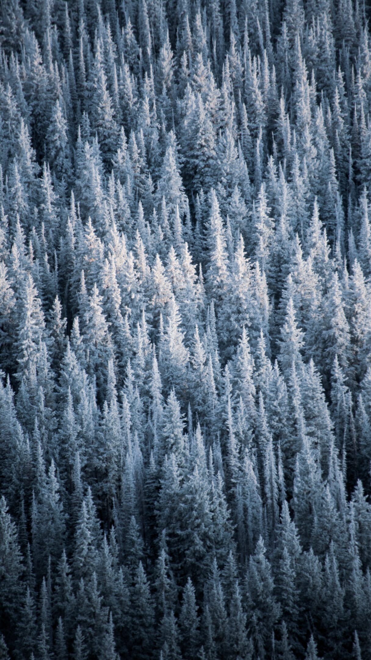 Stoke levels rise as the first snowstorms roll into Utah.