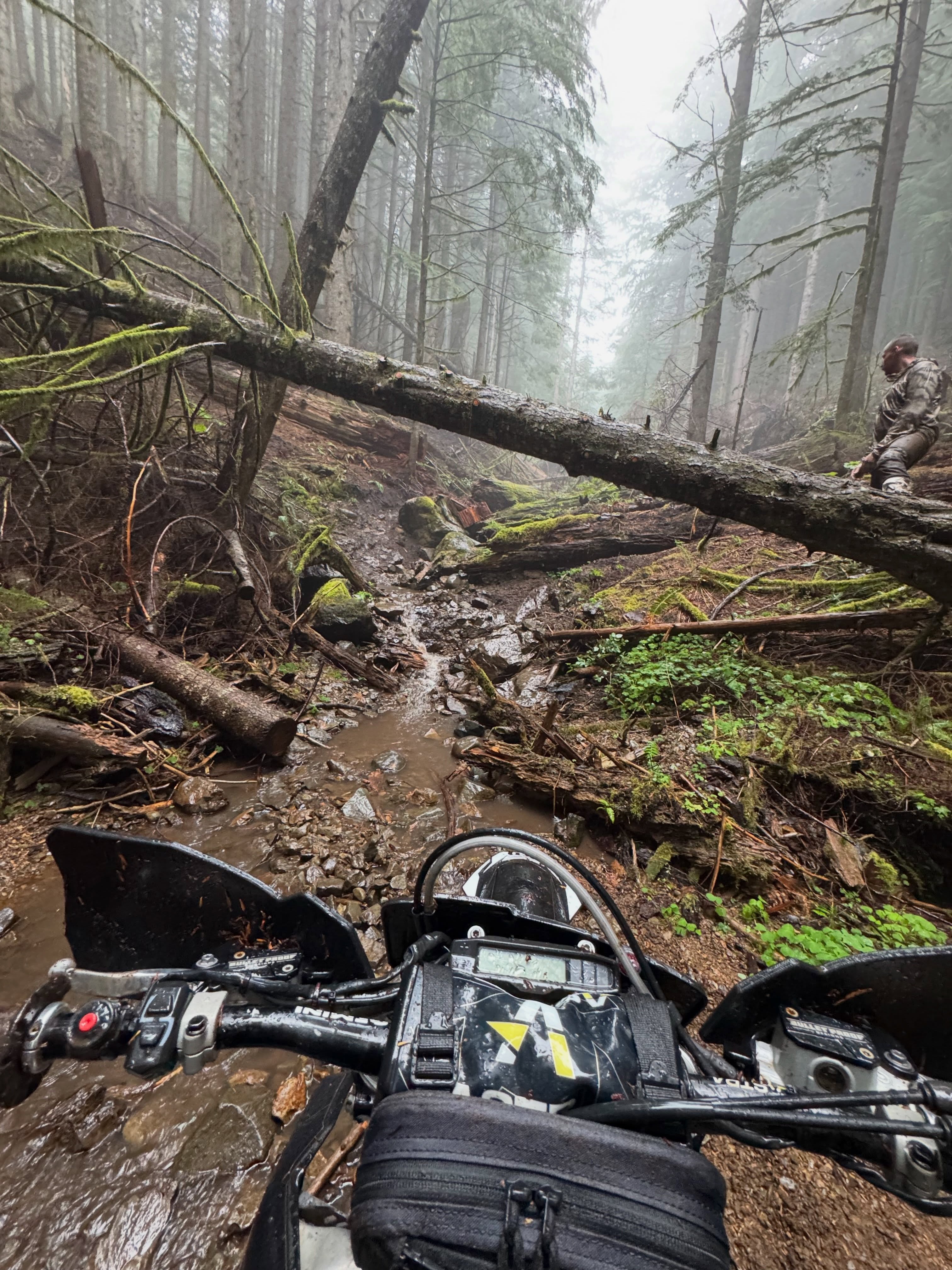 Thankful to have a crazy friend like @michaela_shaver that invited us out for a hard enduro ride for her birthday. Had a blast suffering through the slick and soggy trails with this crew!🪵

#nwwoodswomen #P3Protected @p3carbon #Te300 #TeamMotoSport @motosportinc @astra_offroad @precisionconceptsracing #precisionconcepts