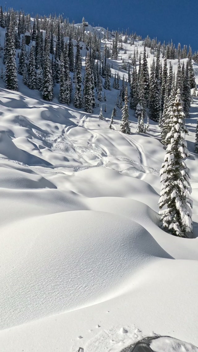 This is one of those days you think about all summer long ❄️
@montanagroundspro 
@freshies_built 
@gullboatsandrv 
@tempestoptics
@scsunlimited 
@carbonpursuit 
@bikemanperformance_snow
@caproskis 
@iceageperformance