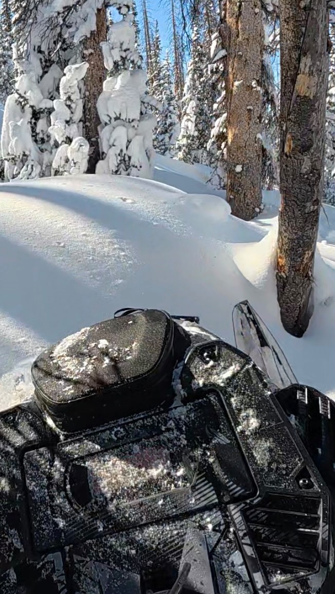 Winter is just around the corner, who else is ready for some bluebird and trees? 
.
.
@tempestoptics 
@castlexgear 
@deviantink 
@backwoodsbmp 
@oxbowgear 
#skidoo #snowmobiling #sledder #winter #utahisrad