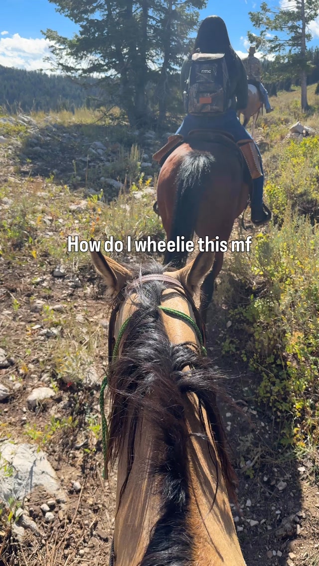 Snowmobile brain. Wrong horsepower. 😂🐎

@simmonsflexiskis