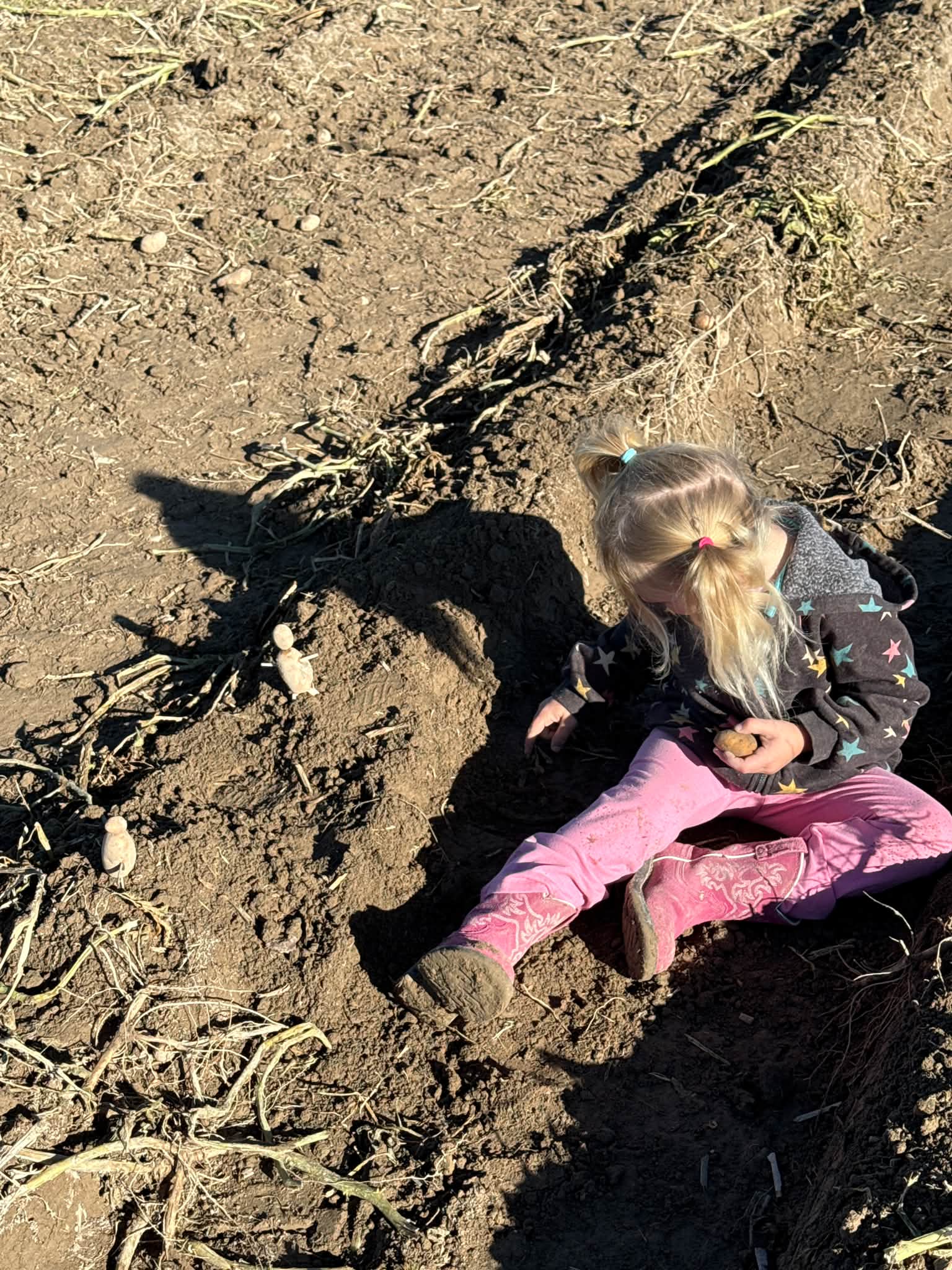 When you’re broke down during harvest you make potato people and play in the dirt. 

Love the memories we’re creating! I have lots of fun memories of riding in the spud truck with my mom and Journee will have similar memories.