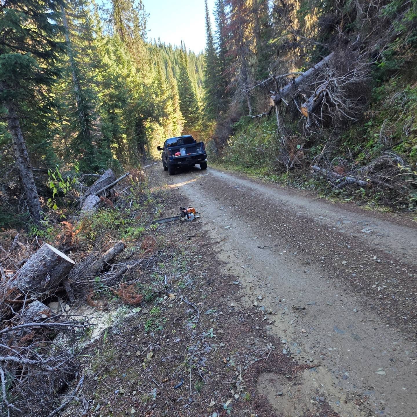Theres a lot of work that goes on behind the scenes in the off season to get our trails ready for the winter. And a lot of this depends on volunteers, and in this particular area, members of the @missoulasnowgoers . So no matter where you are, support your local snowmobile club! Get involved, see how you can help out.  They rely on members and volunteers like you 👊🏽
#missoulasnowgoers #skidoomountaindivision
#lolopass

@lolopassvc_dynw
