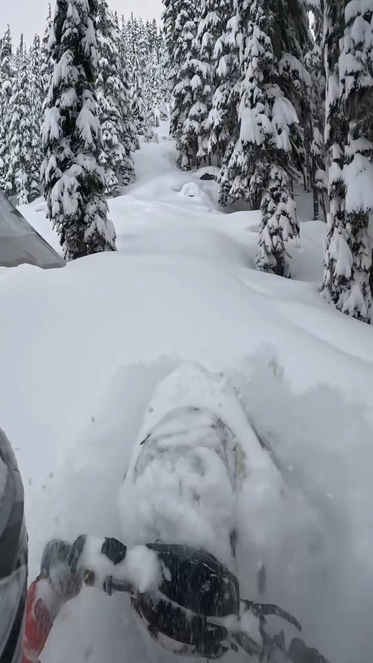 #snowmobiling #backcountrysnowmobiling #snowmobiles #snowmobile #powder