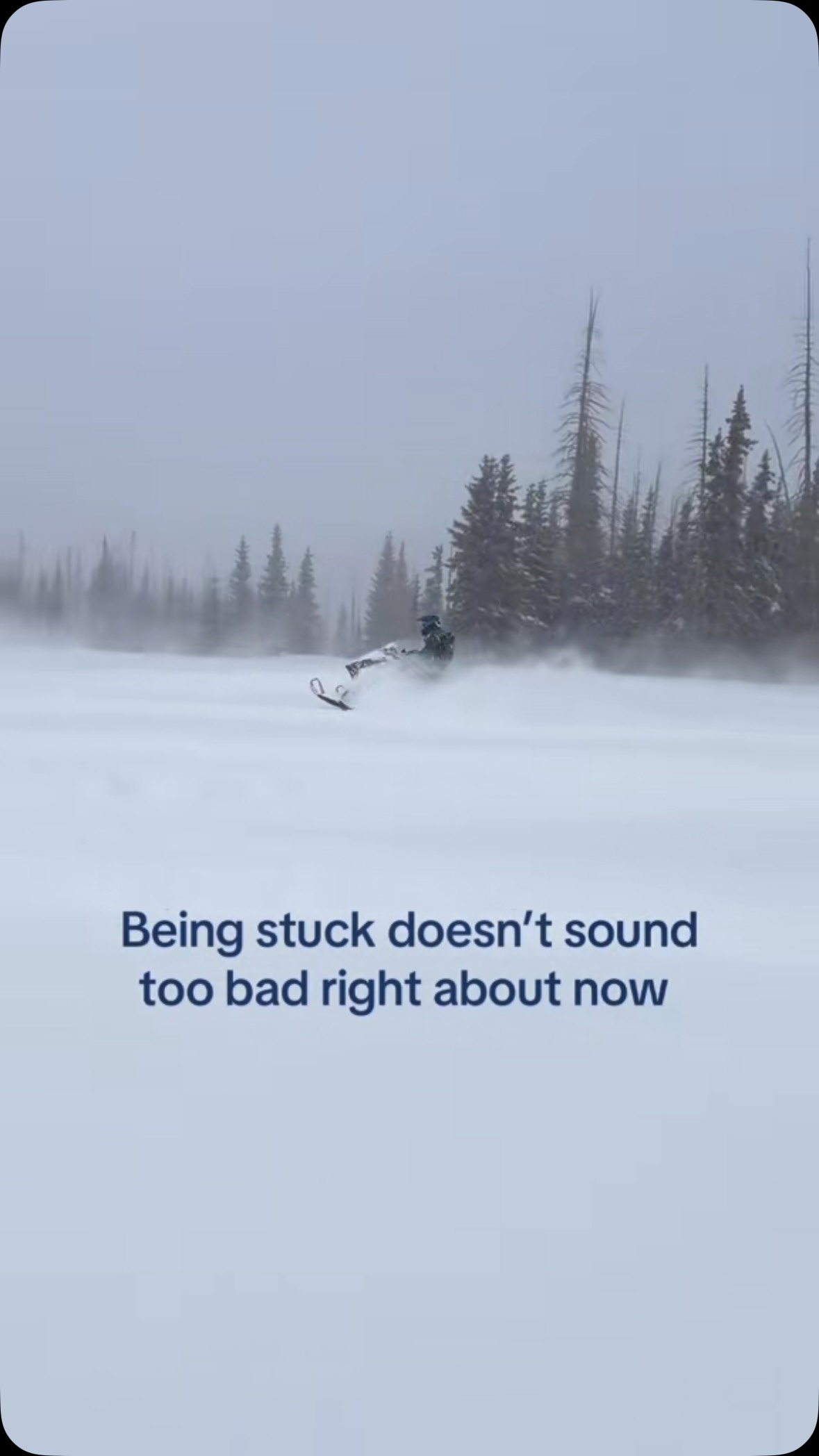 This Super El Niño needs to pull up #snowmobile #winter #snowmobiling #sledding #snow