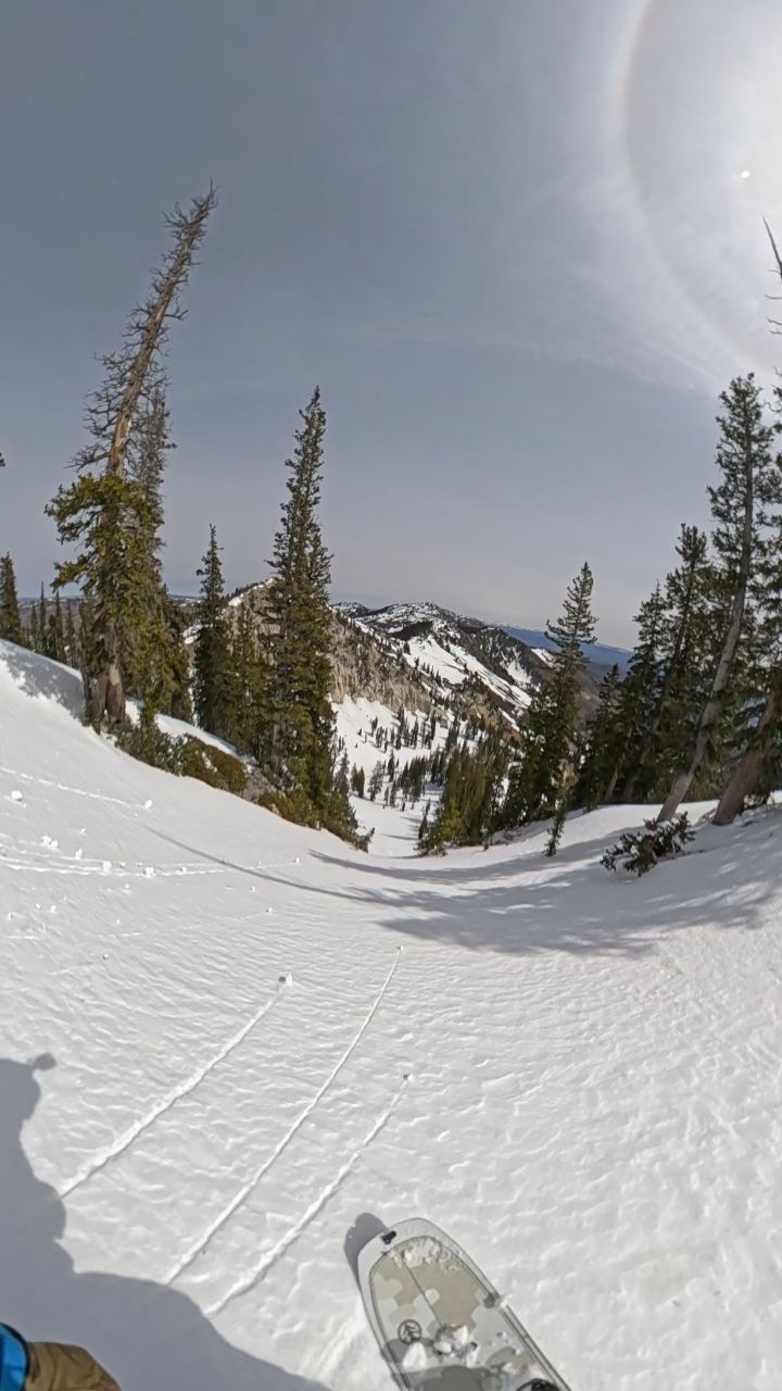 Been eyeing this line for 5 years, felt right to finish the backcountry season on it.
.
.
.
.
.
#cardiffsnowcraft #spring #snowboarding #splitboarding #backcountry