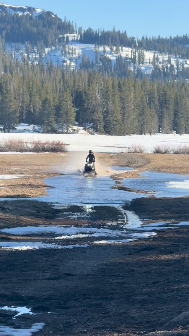Skidoo or lynx?