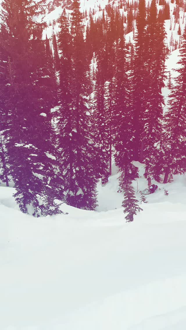 Rad day on the snow. 
#idahome
#sled_nasty
#snowpark
#sledsend