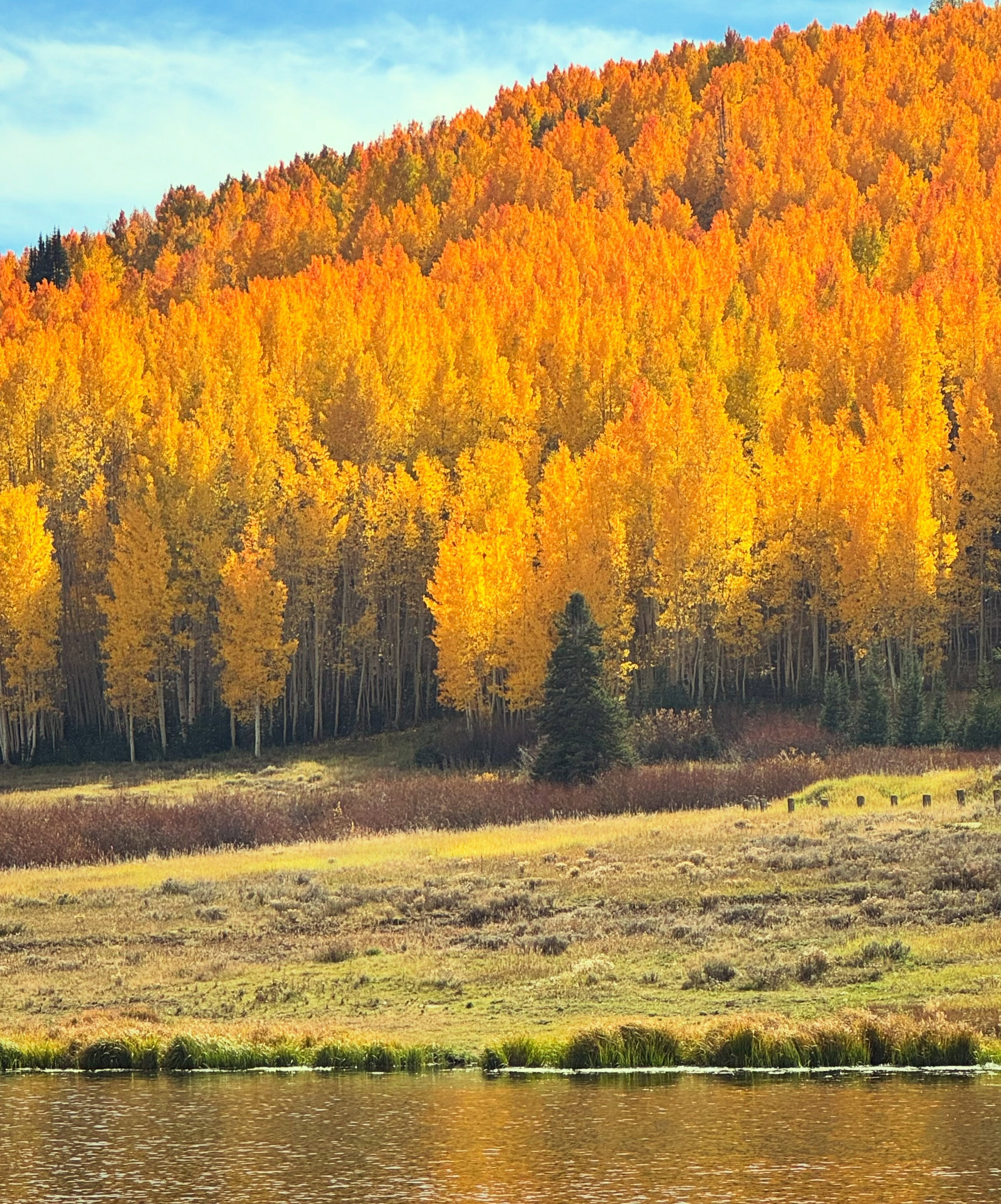 Soak it in. Change is coming. #getoutside #findyourhaven #fall #mtb #utah