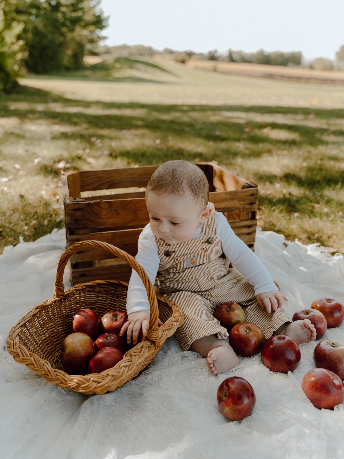 5 months 🍎