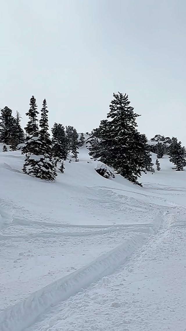 The @oxbowgear team ride was EPIC as always!❄️💯 Great snow with some good friends made for a blast of a weekend! 💥🛷 #oxbowgear #rideharder #journeyfarther 🤳: @jade.barendregt