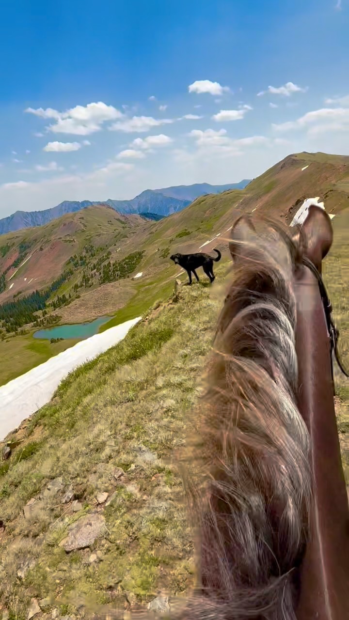 Breathtaking 💕
.
#CowboyTheHorse #MountainTop #rockymountainhorse