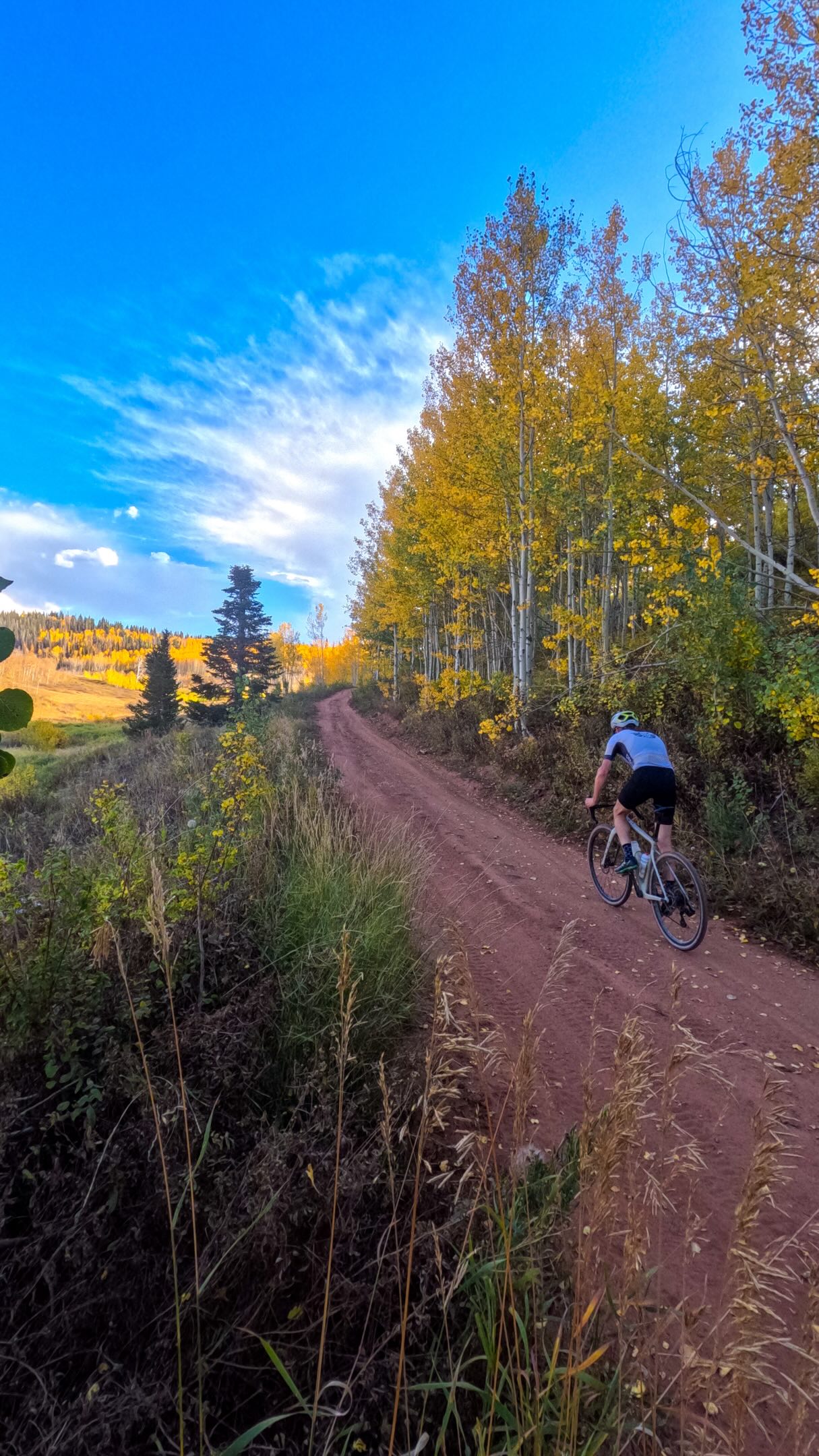 R&D is my favorite type of unemployment.

And riding through the colors brings things into perspective.

#neverstopcreating #ridemorebikes #fallvibes