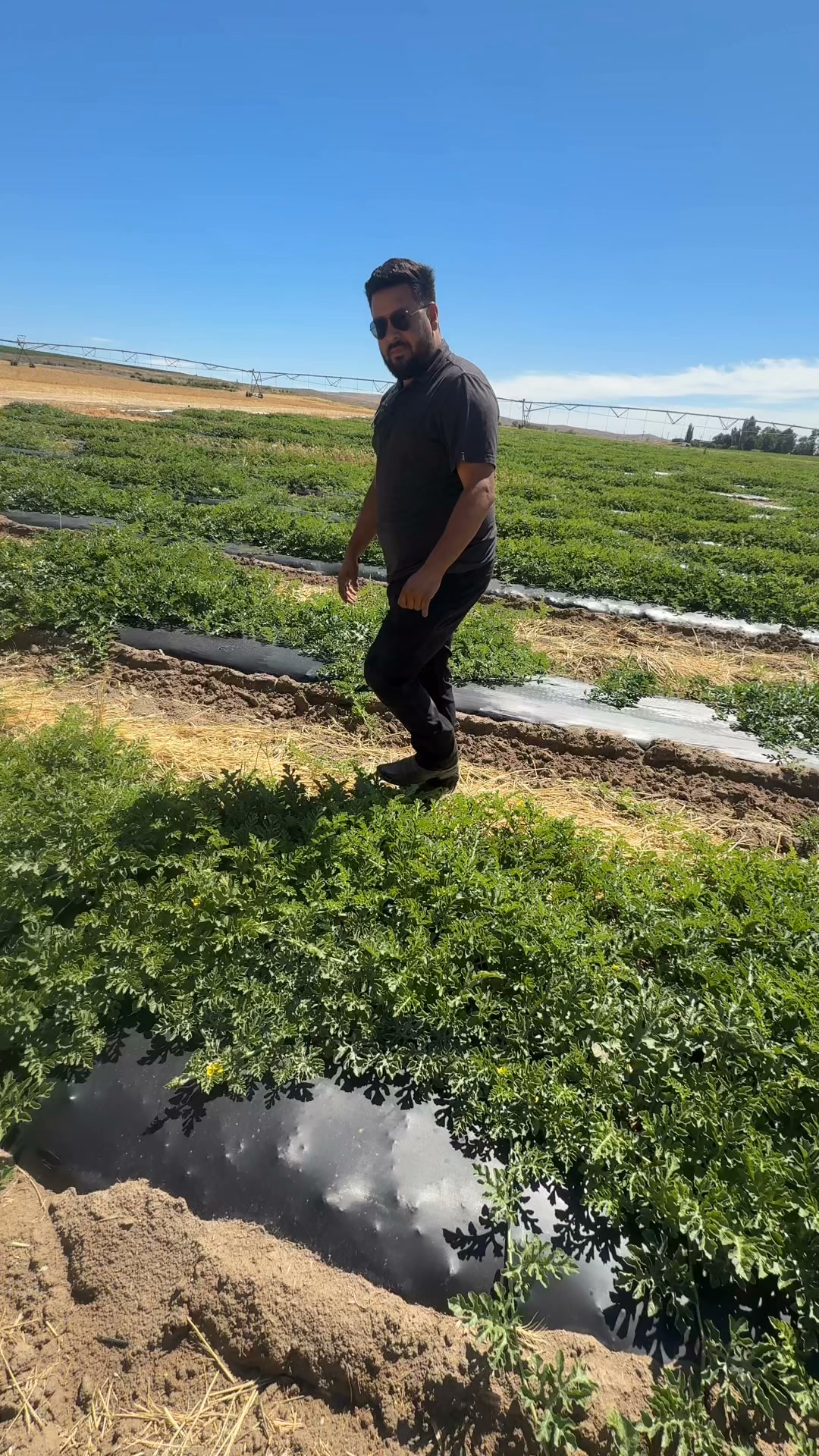Huge shoutout to @themannygmz for letting me tag along and learn more about what it takes to run a successful farm! He is an amazing person to learn from. This trip taught me how to better protect farms with insurance by learning how a farm works 🙌

If you have a business, farm, or ranch. I would love to join you for a day and learn more about it🤝

@sawtoothagency 

 #entrepreneur #helpingothers #growthmindset