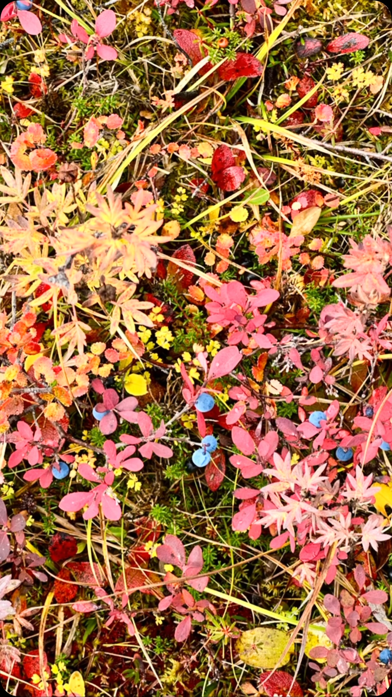 What words would describe the colors in September? 🎨