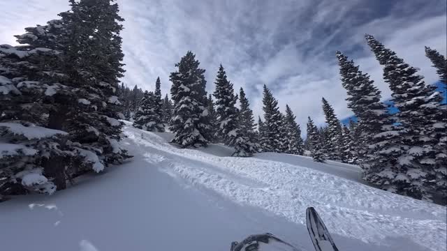 I think @neiko_waechtler is lying that I nudged him, what do you guys think? 😂

@mountainlabgear 
@tempestoptics 
@bsb_fab 
@arvaequipment 
@oxbowgear 
@skidoo 
#snow 
#utah 
#snowmobiling 
#turbo 
#thatskidoofeeling