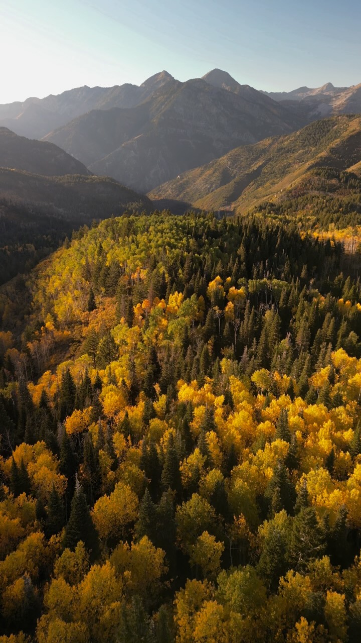 Our favorite way to leaf peep 🍁⛰️🚲 

Today, Oct. 4th @sundanceresort