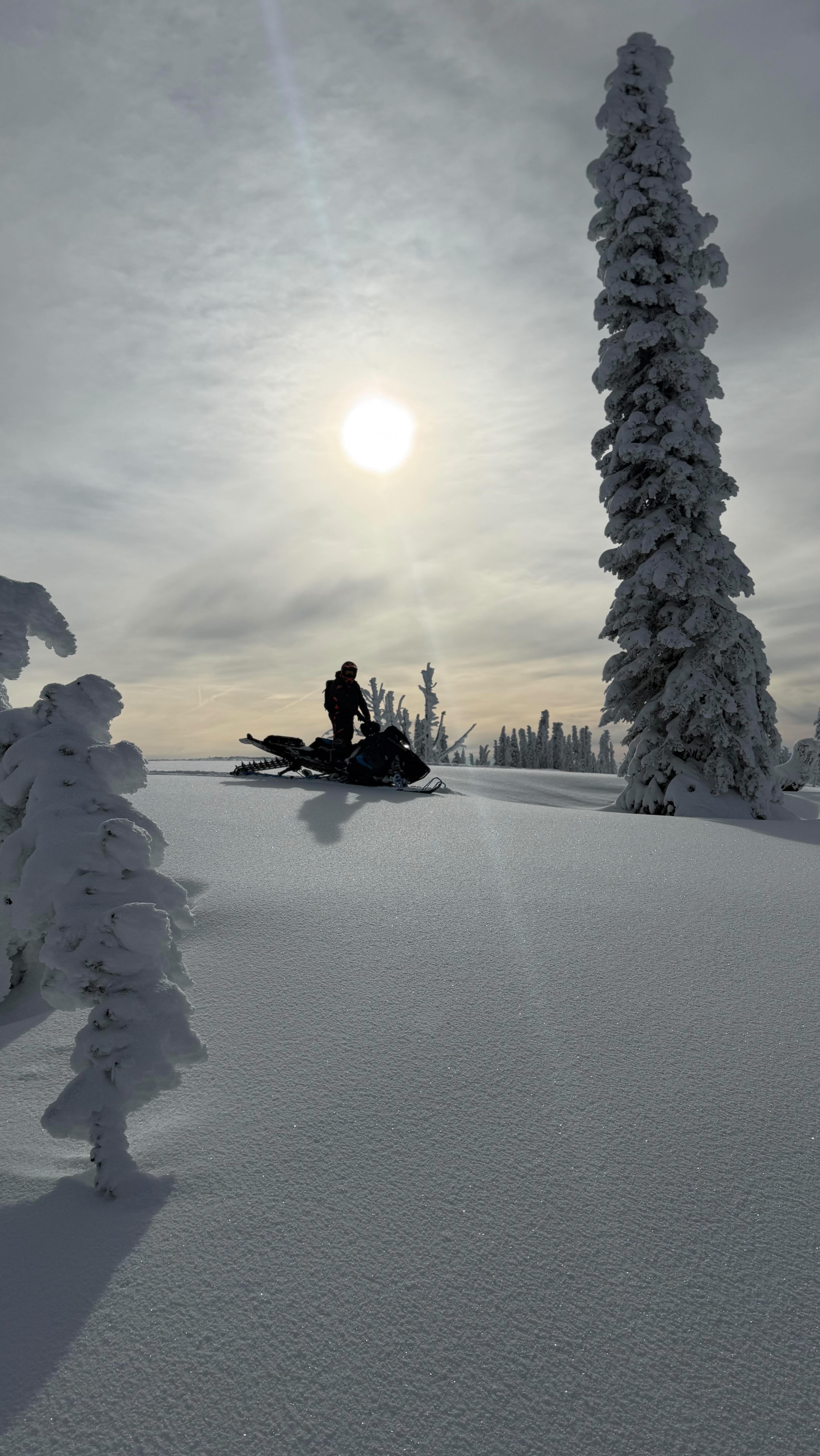 Quick trip to the White Room