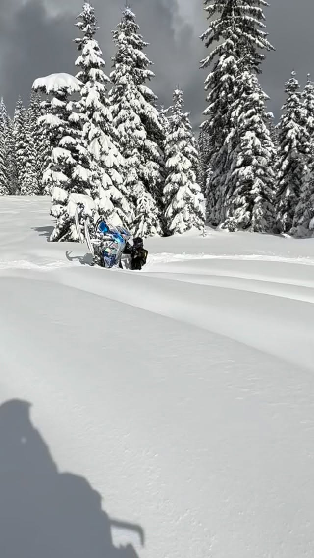Leaning towards legend though

#snowmobiling #snow #fails #fyp #funny
