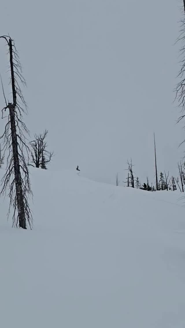 #sled_nasty
 #idahome
 #alpine_bowties
 
Bring back the snow