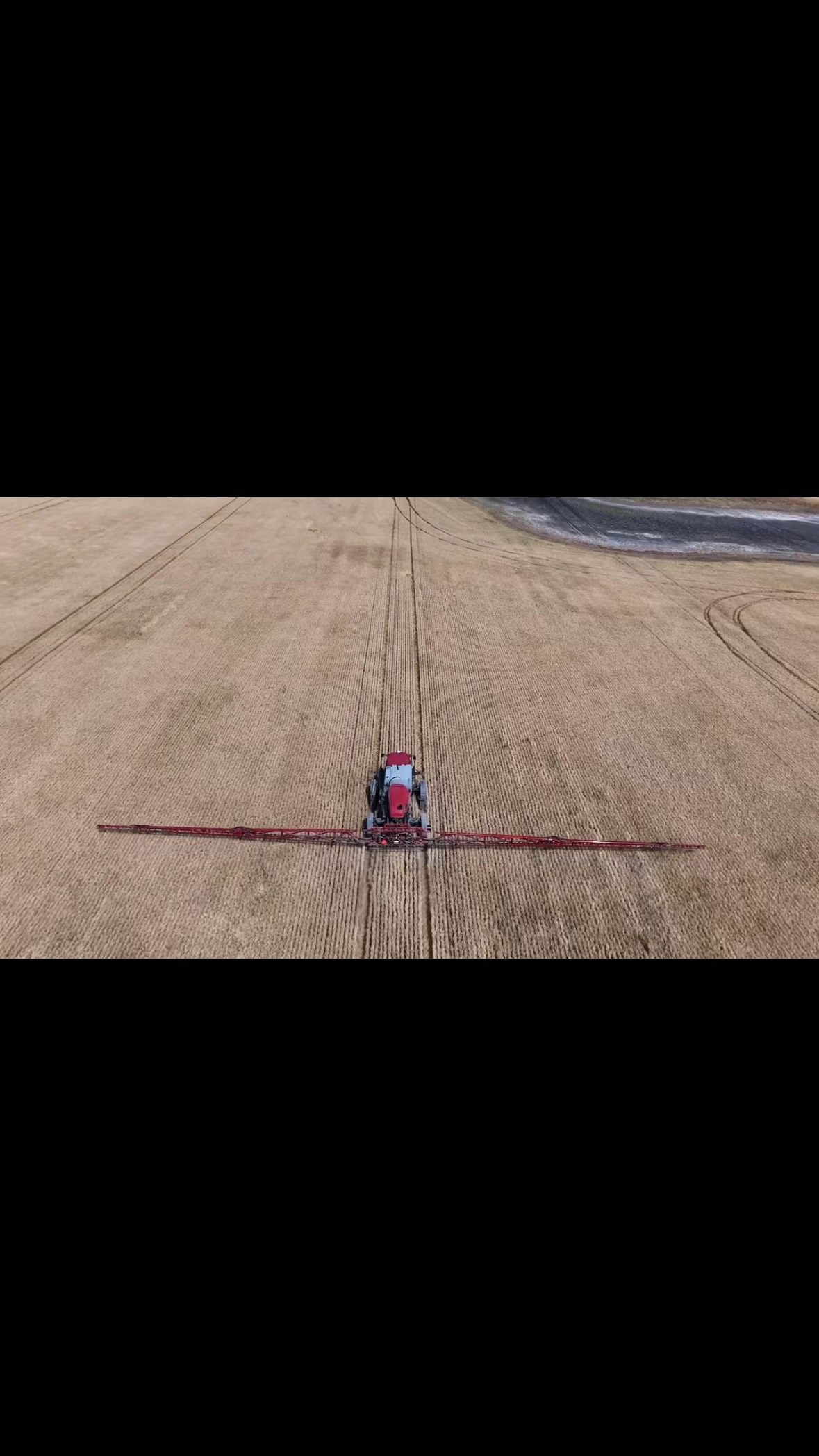 It’s kill time!!#caseih #farm #wheat