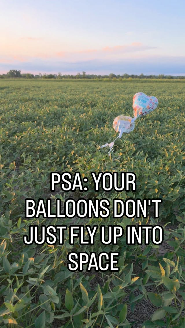 What goes up eventually comes back down 🎈

⚠️ Don't release balloons ⚠️

#balloons #nature #psa #beresponsible