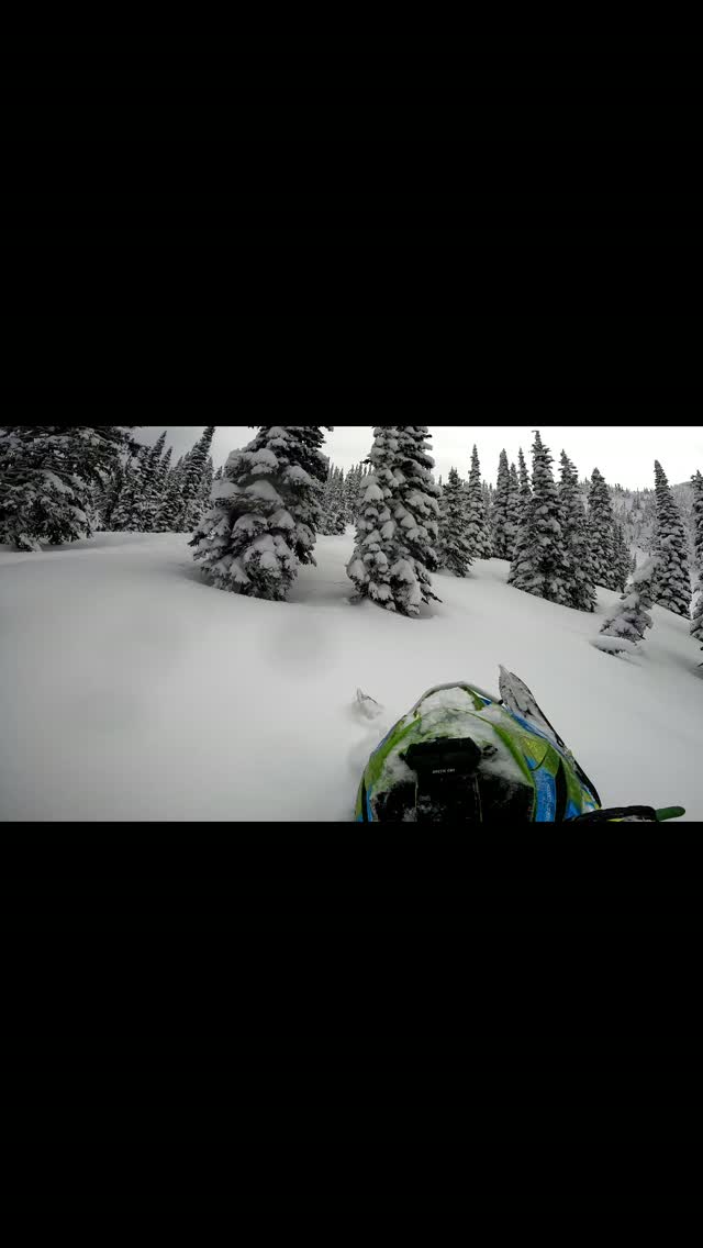 Can't wait to be back on the snow 
Looking forward to working with @arcticfxgraphics for another season  along with @cheetah_snow and @oxbowgear for this season use this link at Arcticfx for 15% off your own wrap -https://dravow.com/go/arcticfx-graphics-carter-hammond-1636qq
#cheetahsnow #arcticfxgraphics #arcticfxgraphicsambassador #oxbow #oxbowambassador