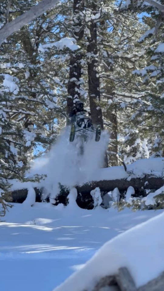 Why go around downed trees when you can go over. 
Spring orders are open! Come down to @pocatello_powersports this Saturday (02.28.26) free food and refreshments, hangout, talk about the 2027 sleds and put your name on one for next season. 

#brpdealerambassador #winter #winterwonderland #thatskidoofeeling